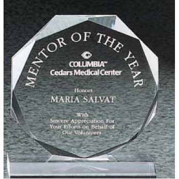 Clear Acrylic Octagon Award (8"x8 3/4")