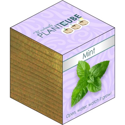 Plant Cube™ - Mint