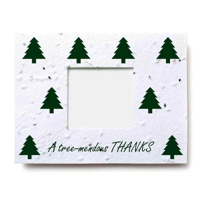 Window Gift Card Holder