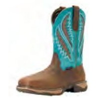 Ariat® Women's Anthem VentTek™ Shoes