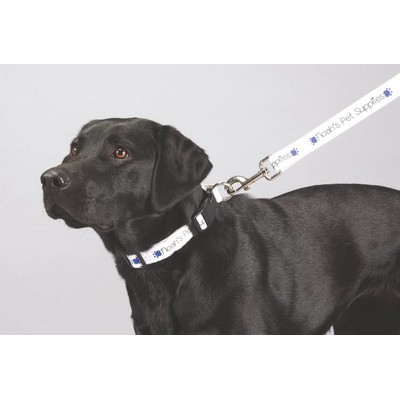 Full Color 1'' Wide Premium Pet Leash