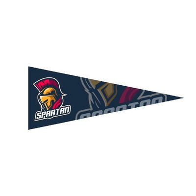 4" x 10" Full Color Felt Pennant