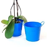 6 1/2" Blue Painted Pail w/Side Handles