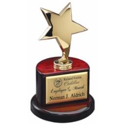 Modern Star On Pedestal Award