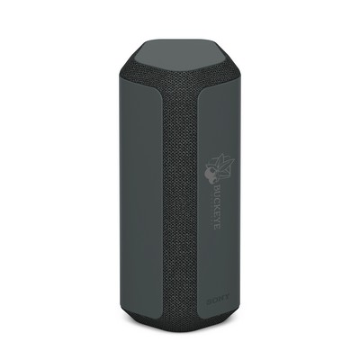 Sony Xe300 Bt Speaker