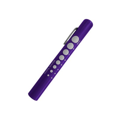 Prestige Medical - Pupil Gauge Disposable Penlight (Slide Pack)