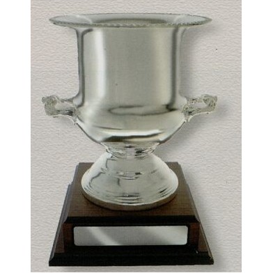 13" Silver Champagne Cooler Trophy on Base