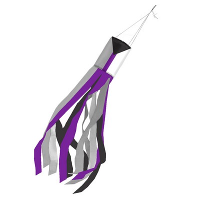 Demisexual Windsock 60'