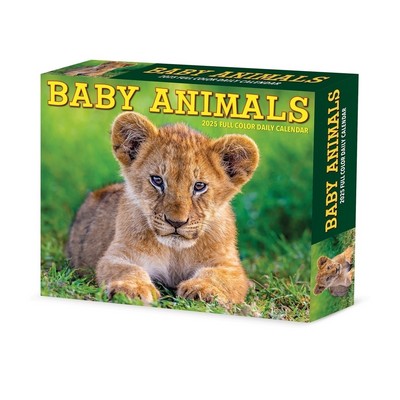 Baby Animals 2025 6.2" x 5.4" Box Calendar