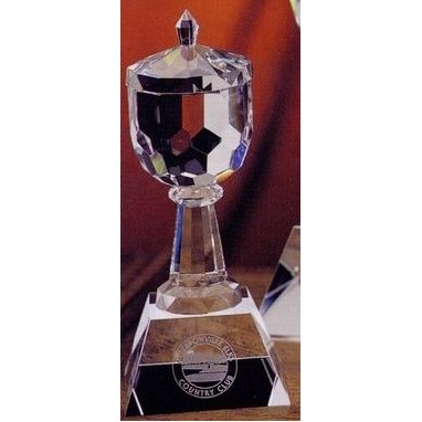 Medium Trophy Cup Award