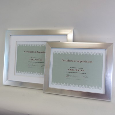 Silver Polymer Certificate Frame - 11x14