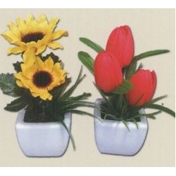 Direct Import Program Potted Flowers