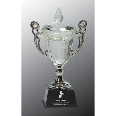 9 1/2" Crystal Cup with Silver Handles and Stem Crystal Award