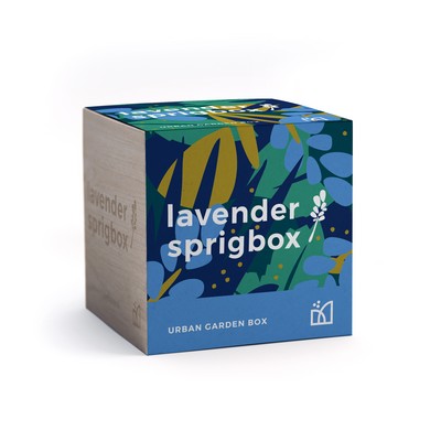 Lavender Grow Kit