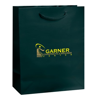 Custom Printed Gloss Laminated Paper Shopping Bag (13"x6"x16")