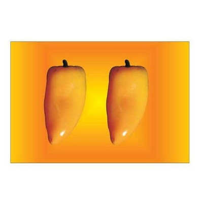 Yellow Chili Pepper Rectangle Metal Photo Magnet (2"x3")