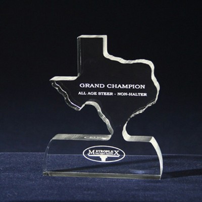 Texas State All-In-One Award