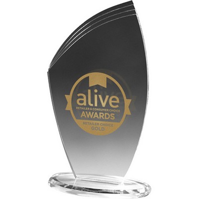 Clear Allure Acrylic Award (4 1/2"x 8"x 3/8") Screen-Printed