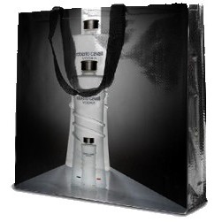 Chrome Laminated Mini Shopper Bag (10"x 12"x 4")