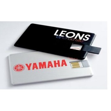 Credit Card w/Hinged USB Drive