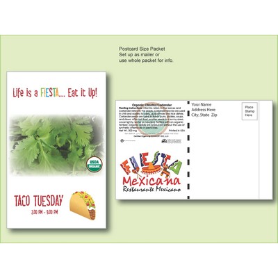 Organic Cilantro/Coriander Seed Packet - Postcard Mailer Size (4" x 6.5")