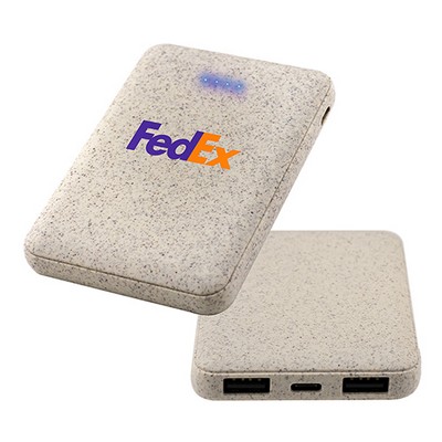 Eco-Friendly Power Bank