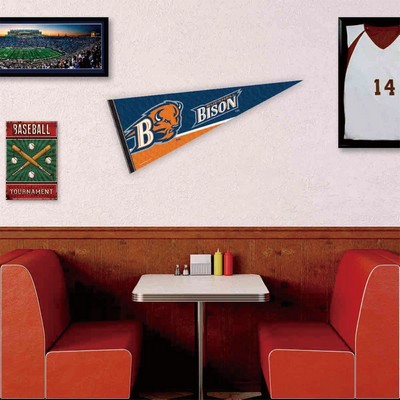 Full-color Felt Pennants