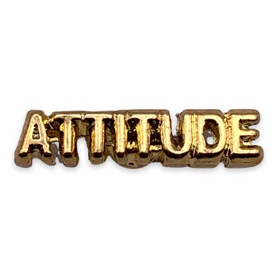 Stock Attitude Lapel Pin