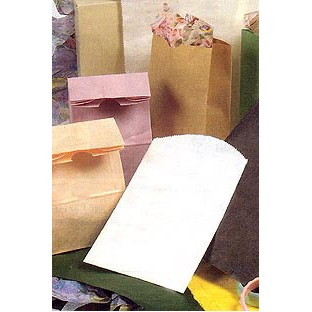 Flat Pinch Bottom Colored Paper Merchandise Bag (12"x15")