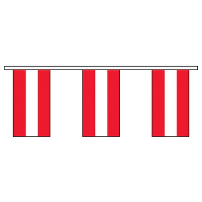 30' Austria International Collection Display Flag