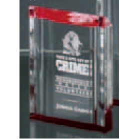 Red Acrylic Channel Award