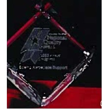 Custom 3D Image in Crystal Large Standing Cube Award (5 5/8"x4")