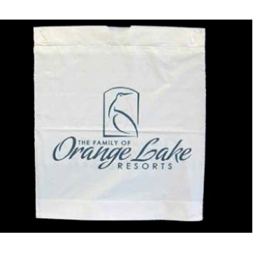 Imported Plastic Drawtape Bag (12"x16"x4")