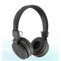 Black Diamond Headphone