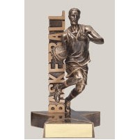 8.5" Male Basketball Billboard Resin Series Trophy