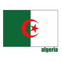 60"W x 36"H National Flag, Algeria, Single-Sided