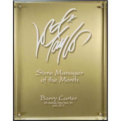 Hi-Tech Lucite Riser Plaque with Wood Backing and Gold Plate