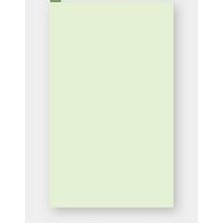 Single Plastic Menu (8½"x 14")