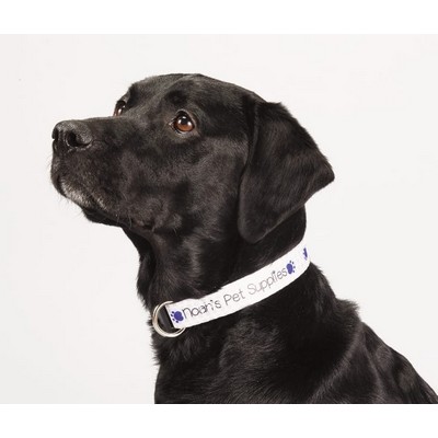 Full Color 1'' Wide Adjustable Pet Collar