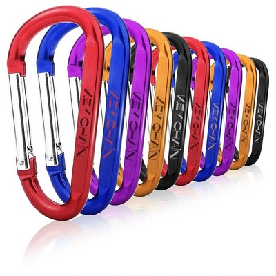 D Ring Shape Carabiner Keychain