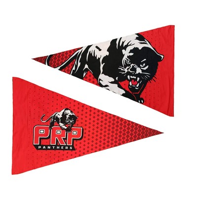 2X-Large Pennant Flag