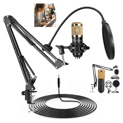 Studio Live Broadcast Microphone Set