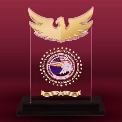 Acrylic Coin Display with Eagle Design