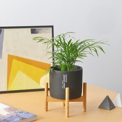 Modern Flower Pots for Indoor Plants with Wooden Stand