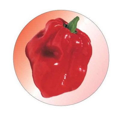 Red Habanero Pepper Round Metal Photo Magnet (2 1/2")