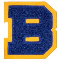 Standard Chenille Letter Patches (4")