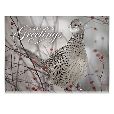 Feathered Friend Holiday Cards