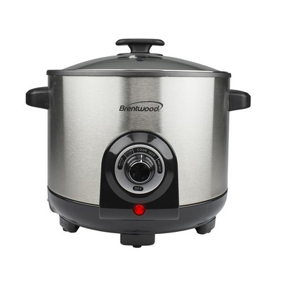 5 Quart Deep Fryer