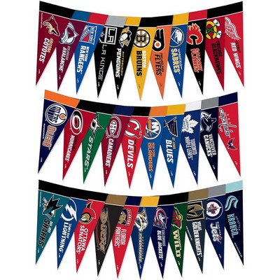 Multi-Size Full Color Felt Pennant