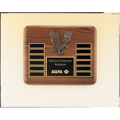 American Eagle Series Plaque w/ Eagle Medallion (10 1/2"x13")